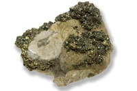 M 00583
<br/>
<br/>
<em></em>